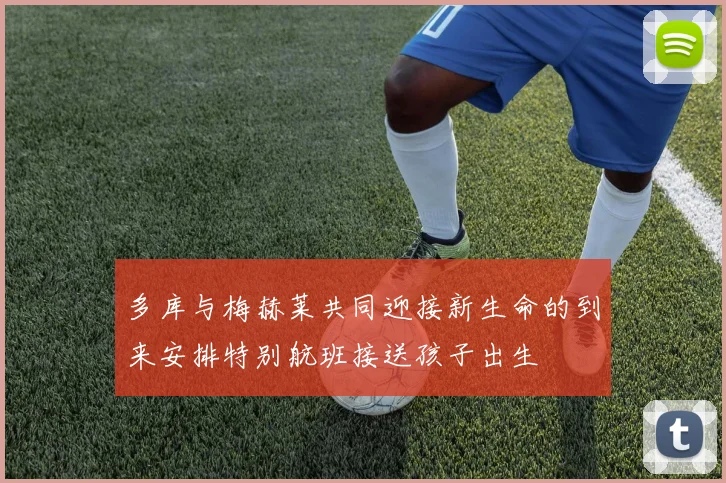 多库与梅赫莱共同迎接新生命的到来安排特别航班接送孩子出生