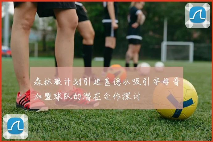 森林狼计划引进基德以吸引字母哥加盟球队的潜在合作探讨