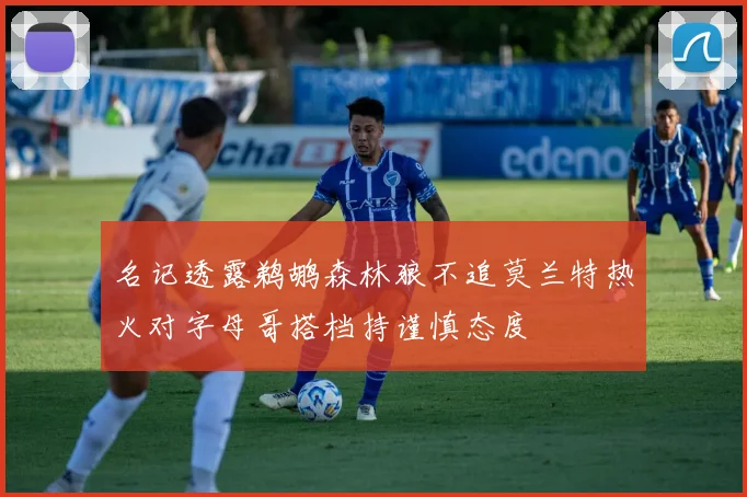名记透露鹈鹕森林狼不追莫兰特热火对字母哥搭档持谨慎态度