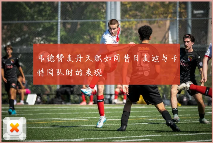 韦德赞麦丹天赋如同昔日麦迪与卡特同队时的表现