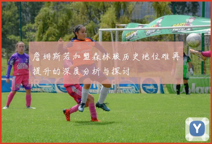 詹姆斯若加盟森林狼历史地位难再提升的深度分析与探讨
